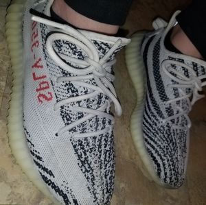 Yeezy boost 350 zebra
